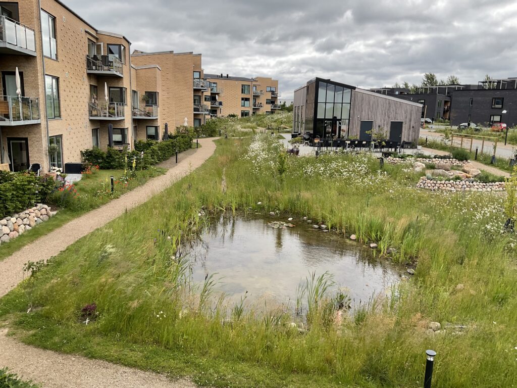 Andel til salg i Seniorbofællesskabet Oasen–Trekroner ved Roskilde