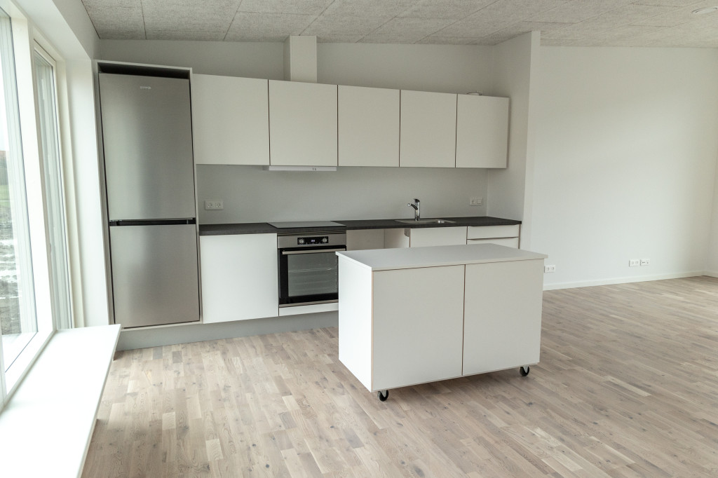 Bæredygtig, nybygget bolig i Krogsbølle (Bofællesskab) - Indflytning_Otterup-2108_993e8ed234fd227bd3672835e9568c40