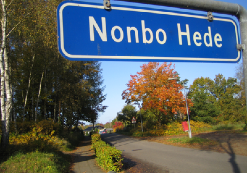 Nonbo Hede - shapeimage_2_74893b2a2c50536fe6c8cd08b0372f51